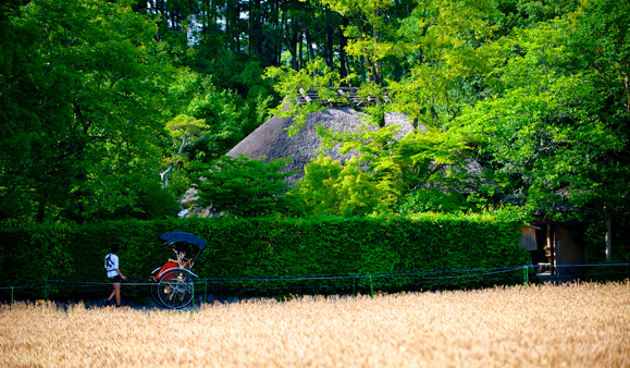 Attraction Rickshaw Experience in Arashiyama, Kyoto