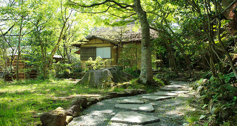 The Garden of Hakone Gora Park