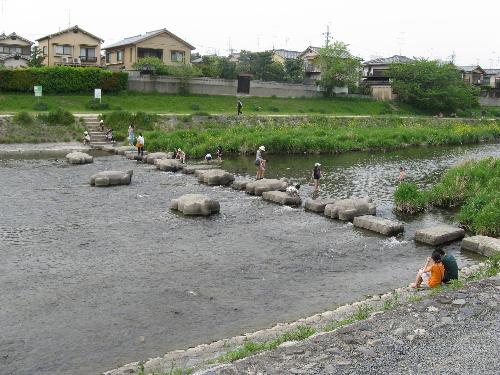 京都鴨川跳烏龜石的位置