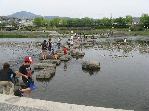 京都鸭川夏季跳乌龟石的景况